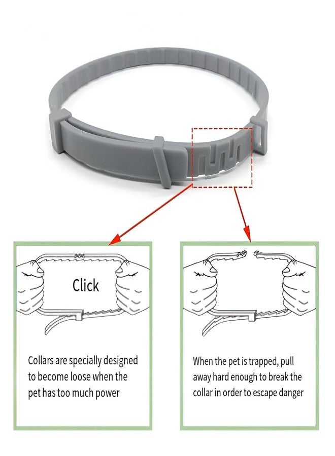 ABTER Anti-Tick Collar for Dogs & Cats - Long-Lasting Protection Against Ticks, Fleas & Insects, Safe & Comfortable, Adjustable Multicolor Pet Collar - Image 2
